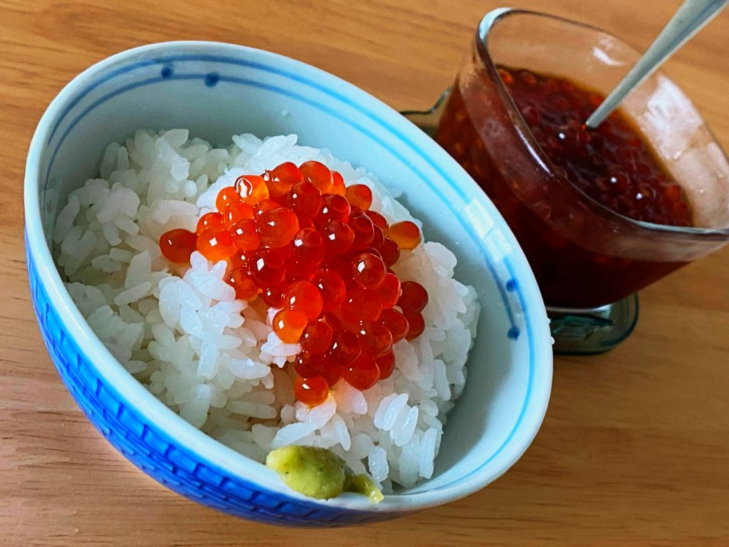 ikuraIMG_8578